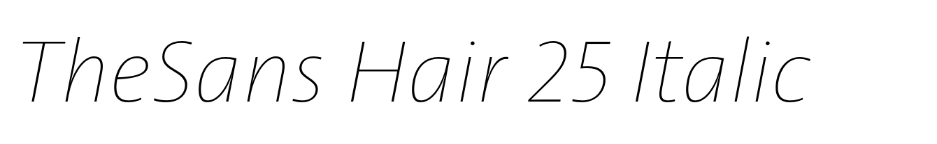 TheSans Hair 25 Italic
